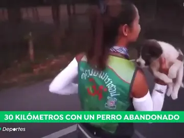 maraton_a3d maraton_a3d