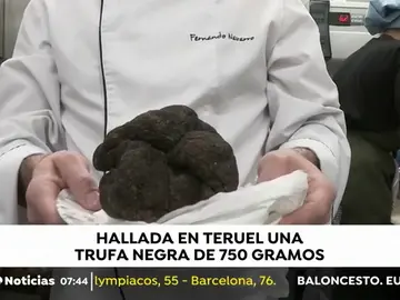 trufanegra trufanegra