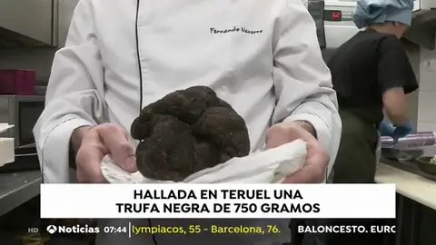 trufanegra trufanegra