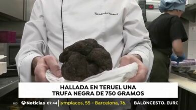 Un restaurante de Valencia ofrece una trufa negra de 750 gramos, uno de los ejemplares más grandes de España