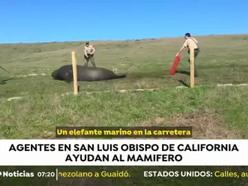 focacalifornia focacalifornia
