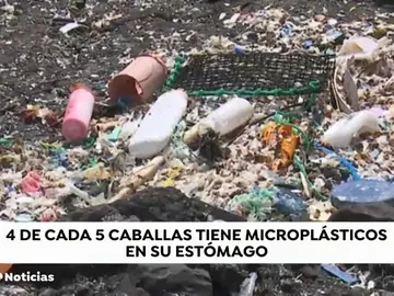 CABALLAS NUEVA CABALLAS NUEVA