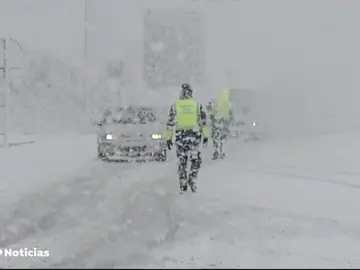 REEMPLAZO Helena REEMPLAZO Helena