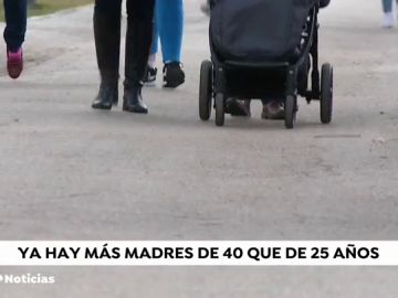 REEMPLAZO MADRES