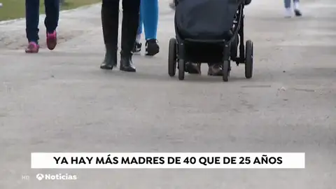 REEMPLAZO MADRES REEMPLAZO MADRES