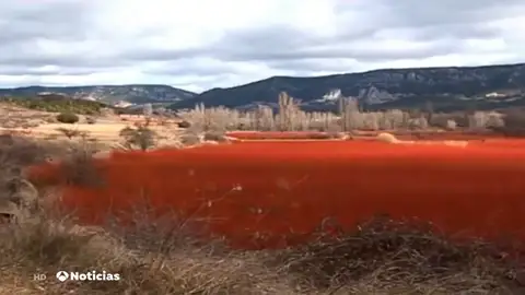 El mimbre tiñe los campos de Cuenca El mimbre tiñe los campos de Cuenca