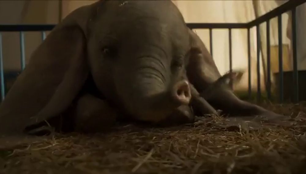 El nuevo tráiler de 'Dumbo' que te hará llorar de emoción