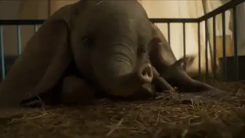 El nuevo tráiler de 'Dumbo' que te hará llorar de emoción El nuevo tráiler de 'Dumbo' que te hará llorar de emoción