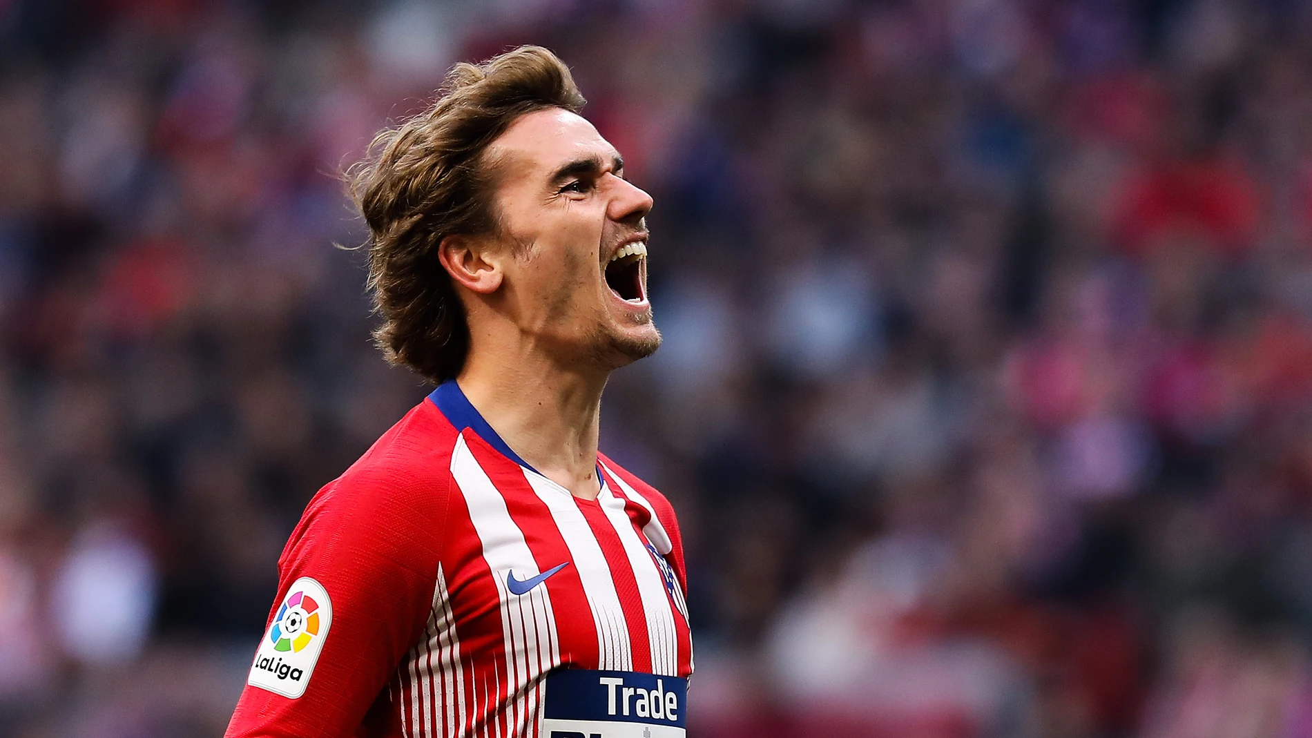 Griezmann celebra un gol con el Atlético Griezmann celebra un gol con el Atlético
