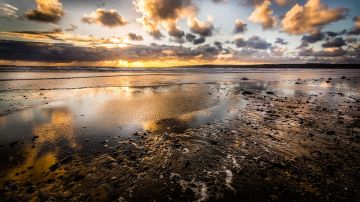 Playa de Yorkshire