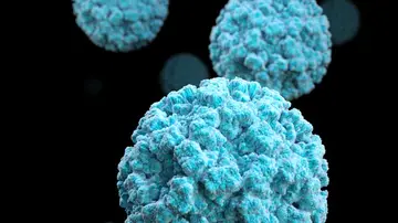 Virus de la gastroenteritis Virus de la gastroenteritis