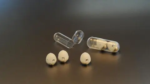 La píldora que podría acabar con la diabetes tipo 2 La píldora que podría acabar con la diabetes tipo 2