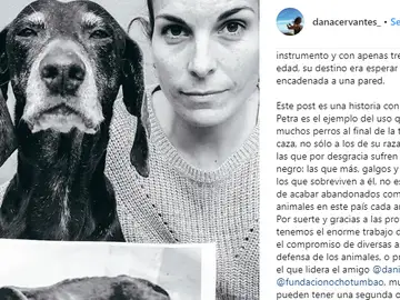 La imagen de Dana Cervantes La imagen de Dana Cervantes