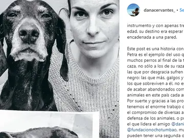 La imagen de Dana Cervantes La imagen de Dana Cervantes