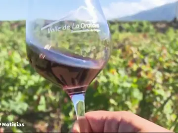 vinos canarios vinos canarios