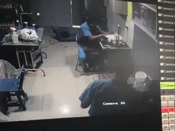 Maltrato a un perro en Colombia Maltrato a un perro en Colombia