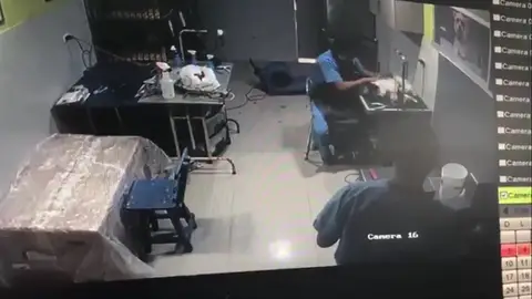 Maltrato a un perro en Colombia Maltrato a un perro en Colombia