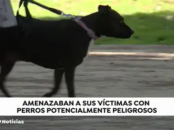 REEMPLAZO Detenidas dos personas en Madrid que utilizaban perros de caza para robar e intimidar a sus vÃctimas REEMPLAZO Detenidas dos personas en Madrid que utilizaban perros de caza para robar e intimidar a sus vÃctimas