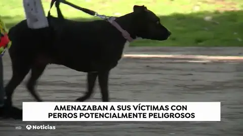 REEMPLAZO Detenidas dos personas en Madrid que utilizaban perros de caza para robar e intimidar a sus vÃctimas REEMPLAZO Detenidas dos personas en Madrid que utilizaban perros de caza para robar e intimidar a sus vÃctimas