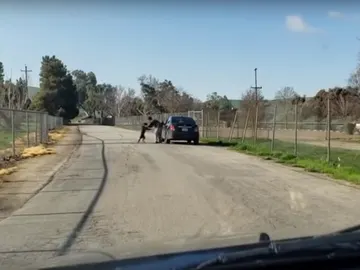 El perro en el momento en el que su dueño lo abandona El perro en el momento en el que su dueño lo abandona
