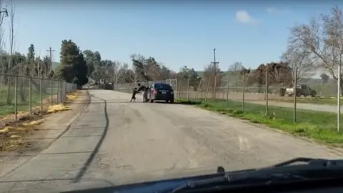 El perro en el momento en el que su dueño lo abandona El perro en el momento en el que su dueño lo abandona