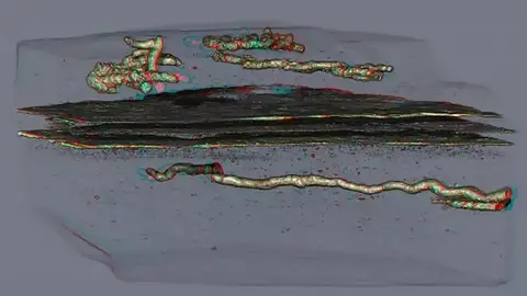 La vida hace 2.100 millones de años La vida hace 2.100 millones de años