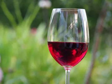 Copa de vino Copa de vino