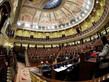 El Congreso de los Diputados El Congreso de los Diputados