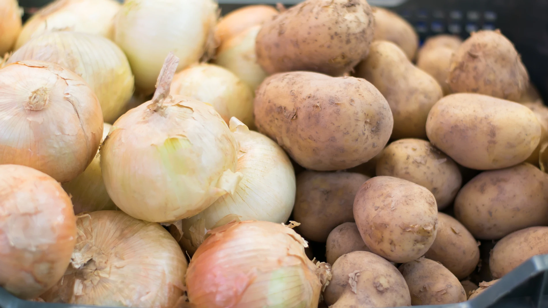Cebollas y patatas Cebollas y patatas