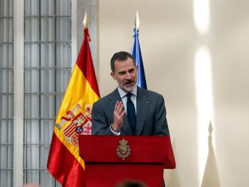 Rey Felipe VI