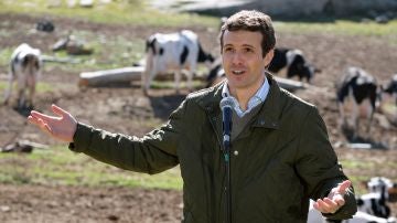 Pablo Casado