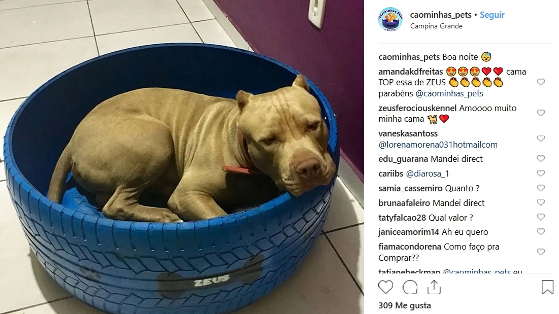 Camas para mascotas