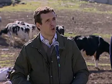 Casado: "Pedro Sánchez miente, fue el que le dio la puñalada a Rajoy" Casado: "Pedro Sánchez miente, fue el que le dio la puñalada a Rajoy"