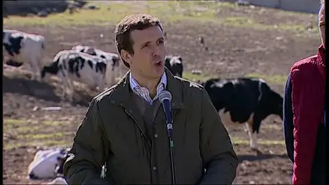 Casado: "Pedro Sánchez miente, fue el que le dio la puñalada a Rajoy" Casado: "Pedro Sánchez miente, fue el que le dio la puñalada a Rajoy"