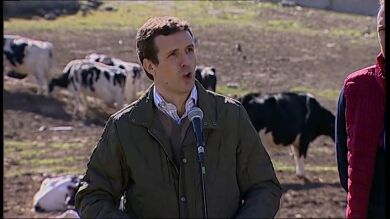Casado: 