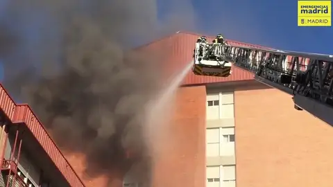 Un hombre y sus dos perros fallecen en un incendio en un piso de Vallecas Un hombre y sus dos perros fallecen en un incendio en un piso de Vallecas