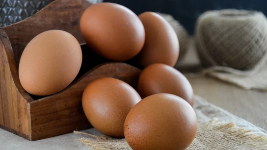 Huevos Huevos
