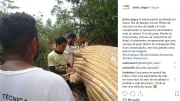Ballena en el Amazonas