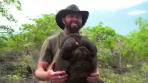 Encuentran en Galápagos una tortuga gigante que se creía que se había extinguido hace un siglo Encuentran en Galápagos una tortuga gigante que se creía que se había extinguido hace un siglo