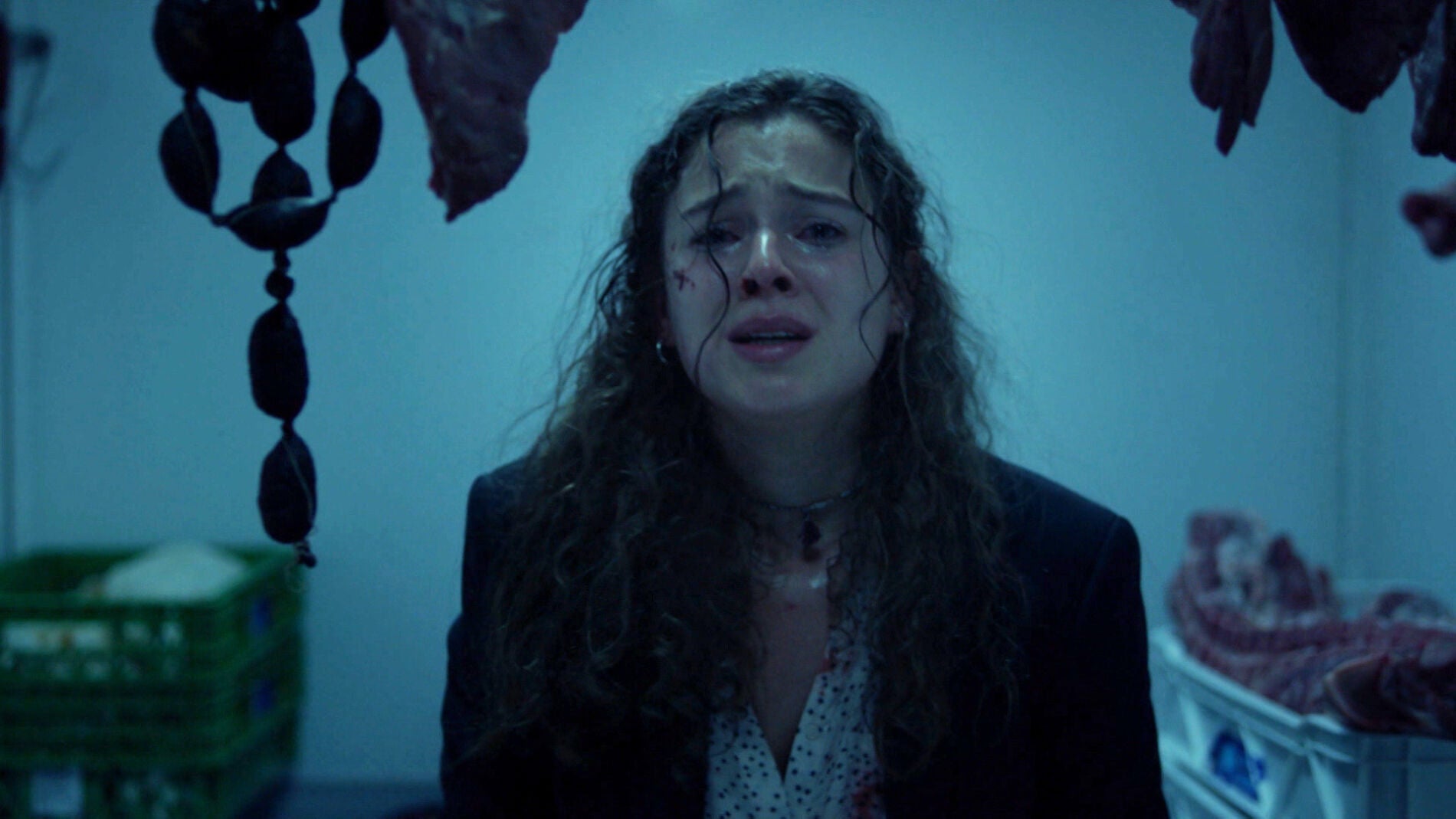 Portugueses, cerdos y tiros: As&iacute; fue el complicado rescate de Cristina