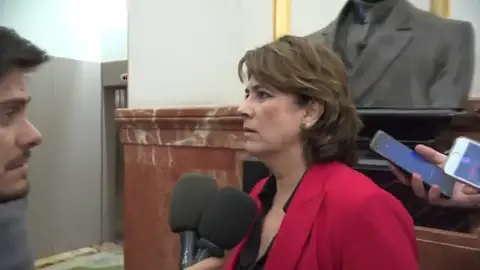 Delgado confirma que el Gobierno mantiene su hoja de ruta para exhumar a Franco Delgado confirma que el Gobierno mantiene su hoja de ruta para exhumar a Franco