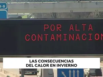 Las consecuencias del calor en invierno: alta contaminación, comercios afectados y agricultores asustados Las consecuencias del calor en invierno: alta contaminación, comercios afectados y agricultores asustados