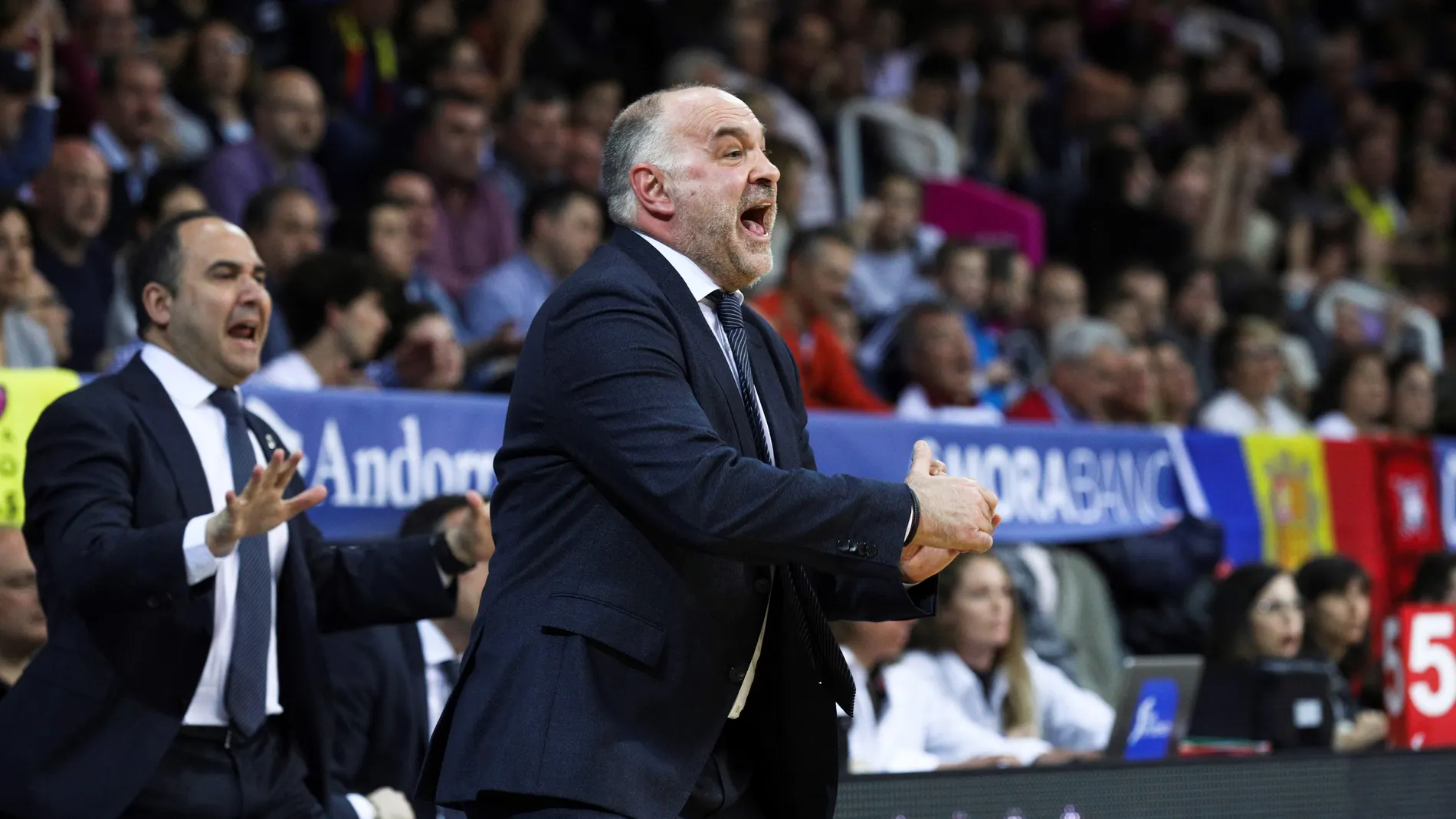 Pablo Laso, durante un partido Pablo Laso, durante un partido