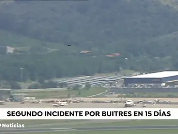 NUEVA BUITRES NUEVA BUITRES