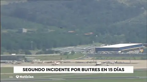 NUEVA BUITRES NUEVA BUITRES
