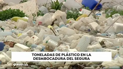 SEGURA_DESEMBOCADURA_BASURA SEGURA_DESEMBOCADURA_BASURA