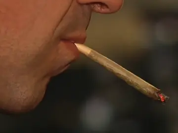 El Tribunal Supremo anula la ordenanza municipal que regula la ubicación de los clubes cannábicos en San Sebastián El Tribunal Supremo anula la ordenanza municipal que regula la ubicación de los clubes cannábicos en San Sebastián