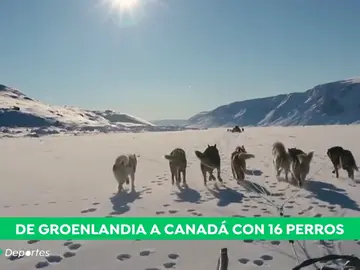 Groenlandia_A3D Groenlandia_A3D