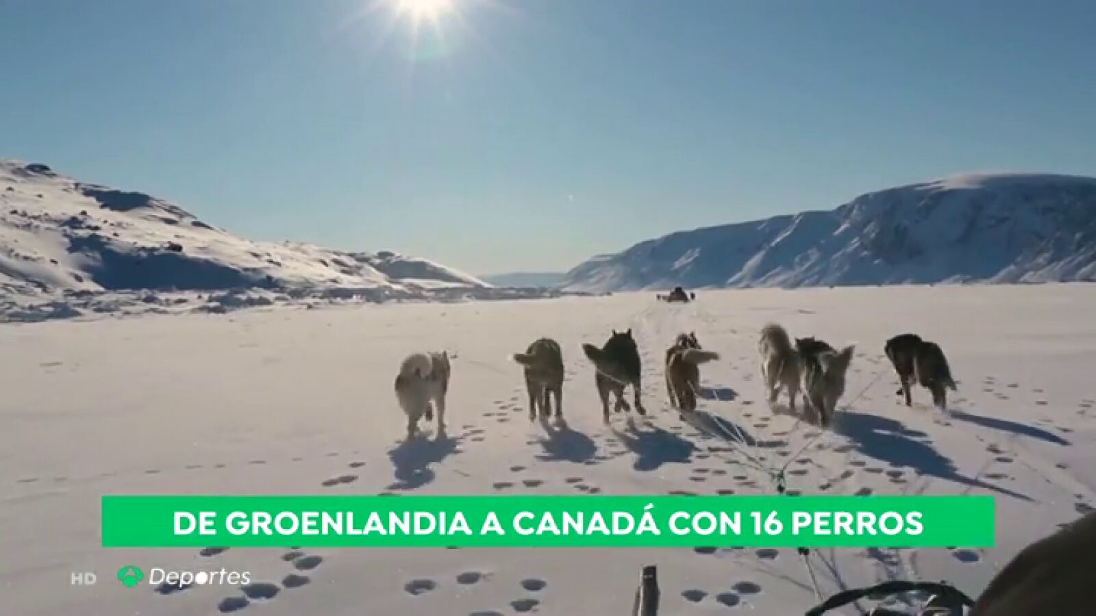De Groenlandia a Canadá en un trineo de 16 perros: así es el reto extremo de Manuel Calvo