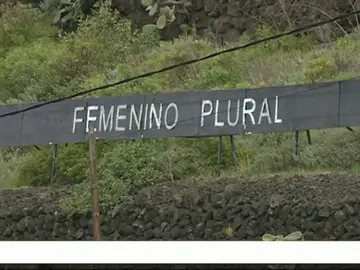 Las frases de un artista canario Las frases de un artista canario